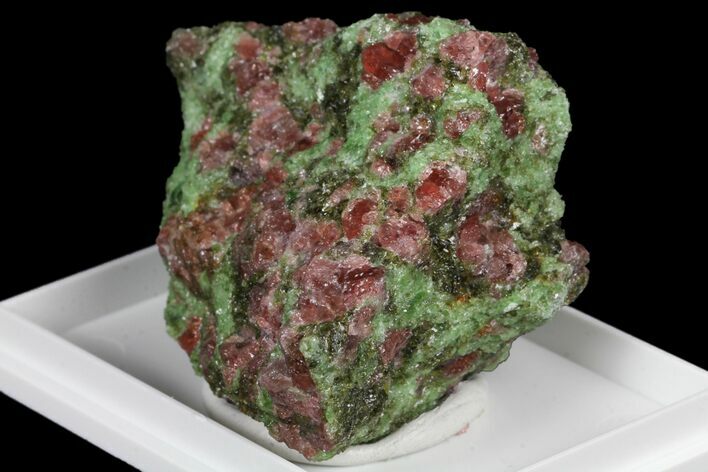 1.7" Pyrope, Forsterite, Diopside & Omphacite Association - Norway